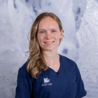 Danielle Van Eyk