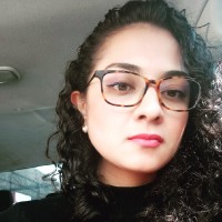 Ingrid Salinas Espinosa De Los Monteros