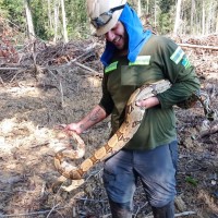 Rafael Nejar Badu Mahfud