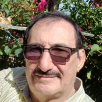 wahid boctor