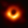 P D