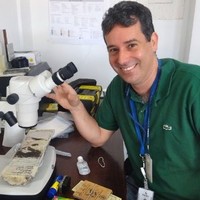 Gustavo Bertorelli