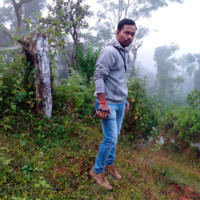 Abhilash P