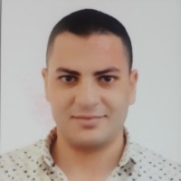 Mohamed Ghonem