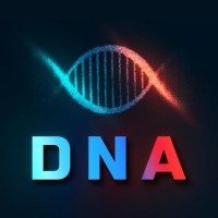 Discord Nation Alpha (Dna)