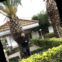 Siavash Z.