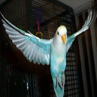 QalaQ ksa