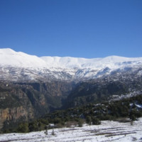 Joseph Geagea