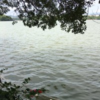 何文森