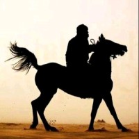 Khaled Amer