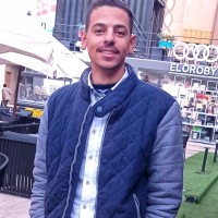 Amr Mahrous