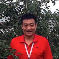 Bo Yang