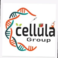 cellula group