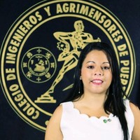 Carmen Figueroa Santiago PE