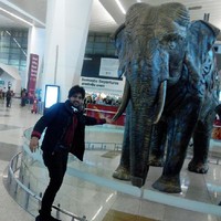 Vivek dubey