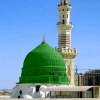 Zulfqar Ali