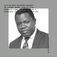 Segun Adeoye