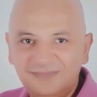 Walaa Nabil