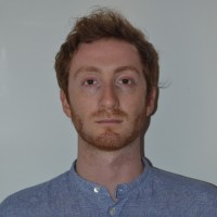 Gianluca Gamba