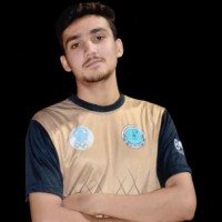Faisal Shabir
