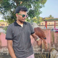 praveen k