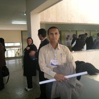 mojtaba ansari