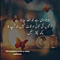 Hooriya Wasif