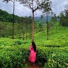 jaanu gowda