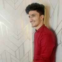 Arpit Paliwal