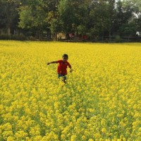 Monirul Islam