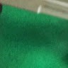 袁美香