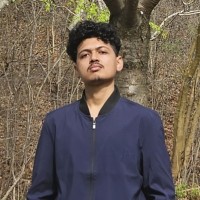 Md Nazmun Hasan Nafees