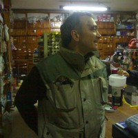 loris mincetti