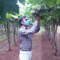 Anil Jamdade