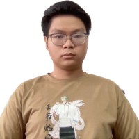 Duc Anh Mai