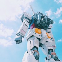 林森木