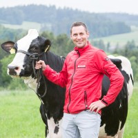 Schneider Stephan