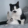배은진