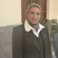 gehan salah