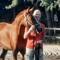 Thijs van Loon