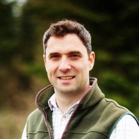 Tom Clark