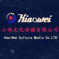 史立伟