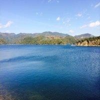 岳倩宇