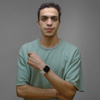 Hassan Abulwafa