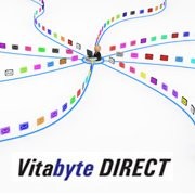 VITABYTE INC