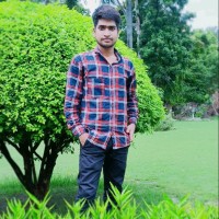 Ashutosh P.