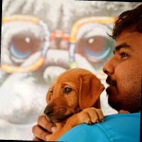 Gaurav Singh