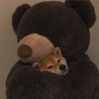 차지윤