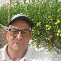 Jose Rodriguez Varas