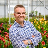 Kees Kapiteijn